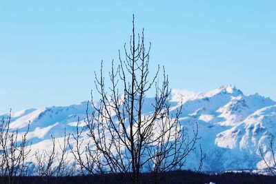 Scenic view of snow covered mountains against clear blue sky