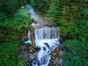 View of waterfall in forest