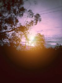 Low angle view of silhouette trees against sky during sunset