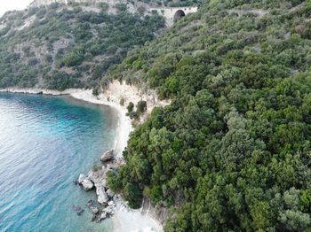 High angle view of sea and trees