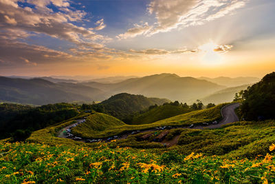 Scenic view of field against sky during sunset