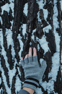 Cropped hand of snow covered tree trunk