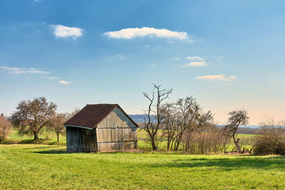 Rural scene with old barn in springtime with green meadow and blue sky