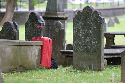 Close-up of cemetery