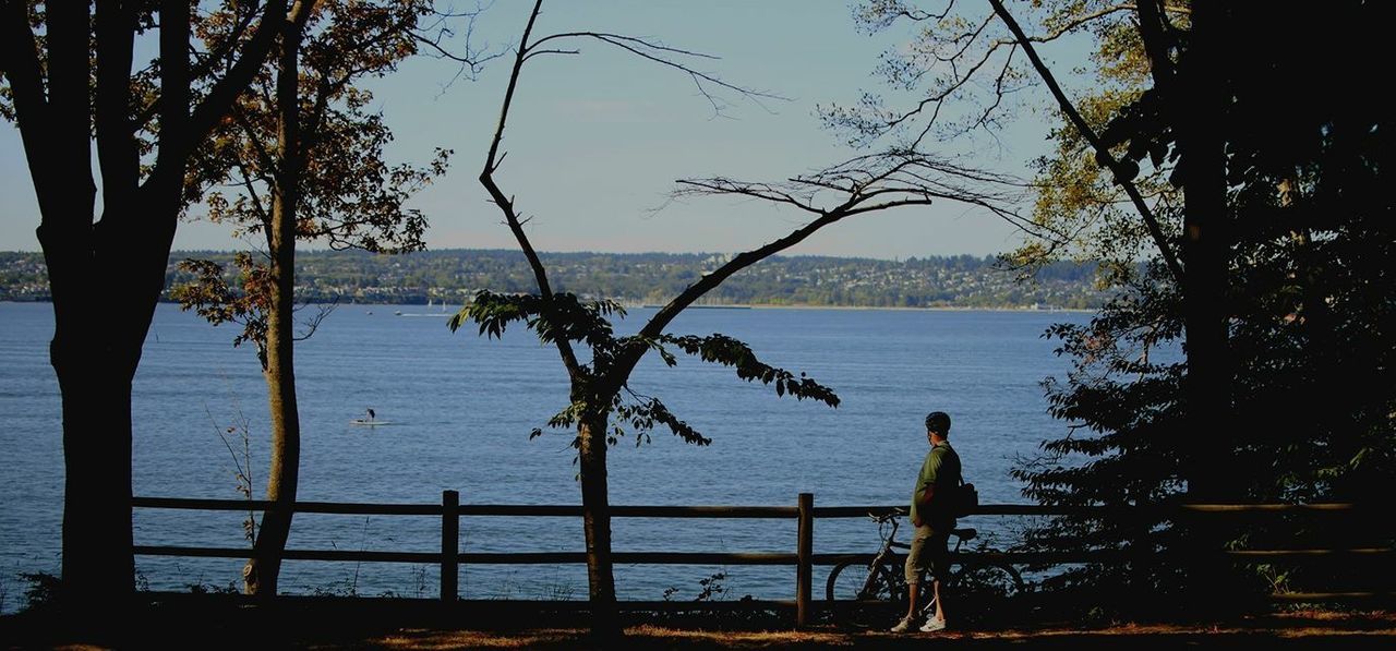 water, silhouette, sea, tranquility, scenics, tranquil scene, tree, leisure activity, men, beauty in nature, lifestyles, nature, railing, horizon over water, rear view, sky, clear sky, branch