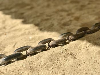 Close-up of chain on sand