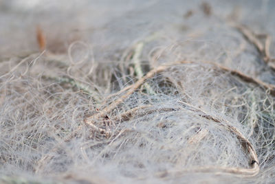 Backgrounds of fishing net strings