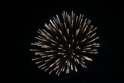 Low angle view of firework display at night