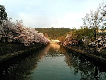 River with trees in background