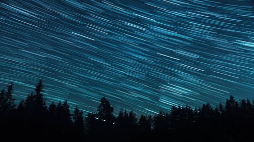 Low angle view of silhouette trees against sky at night