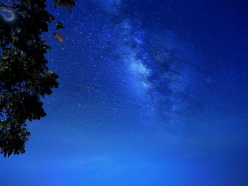 Low angle view of trees against blue sky