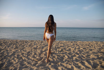 Rear view of man on beach against sky