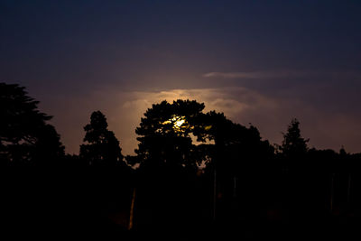 Silhouette trees against sky during sunset