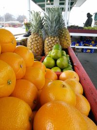 Close-up of fresh fruits in market