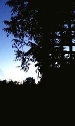 Low angle view of silhouette trees against sky