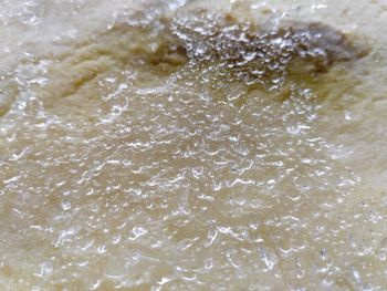 High angle view of bubbles in water
