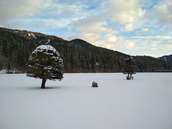 Scenic view of snowcapped field against sky