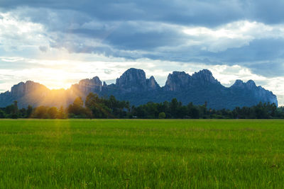 Scenic view of field against sky