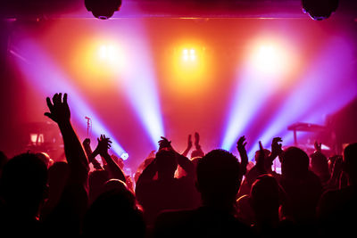 Crowd at music concert