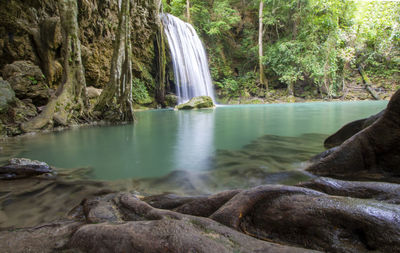 Scenic view of waterfall in forest