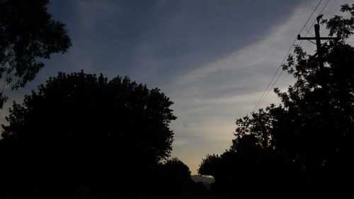 Low angle view of silhouette trees against sky