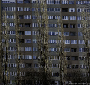 Low angle view of residential buildings