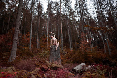 Woman standing by trees in forest