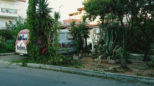 Road by trees and buildings in city