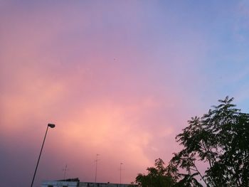 Low angle view of silhouette trees against sky during sunset