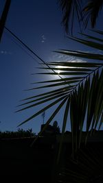 Low angle view of silhouette palm trees against sky