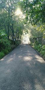 Empty road amidst trees