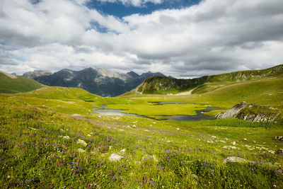 Scenic view of landscape against sky