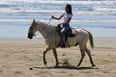 Man riding horse on beach