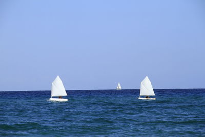 Sailboat sailing in sea against clear sky