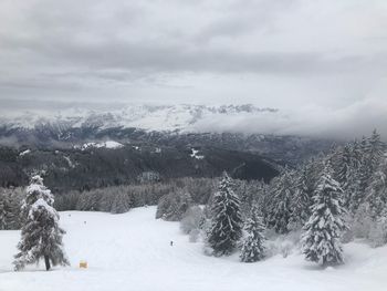 Snow covered landscape against sky