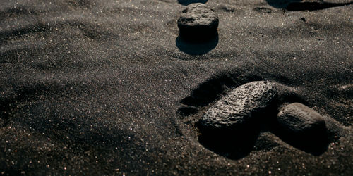 High angle view of rock on beach