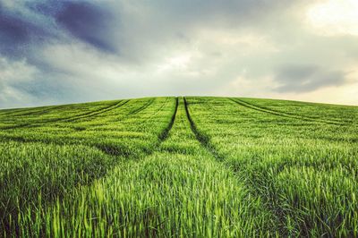 Scenic view of field against cloudy sky