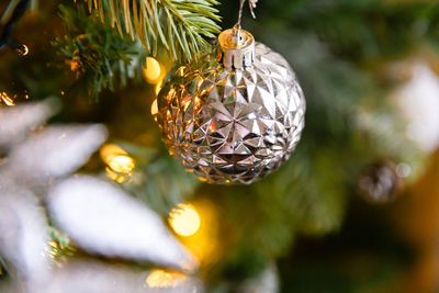 Close-up of christmas tree