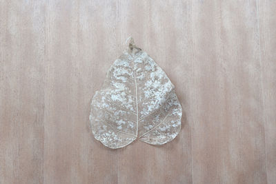 High angle view of leaf on snow on table