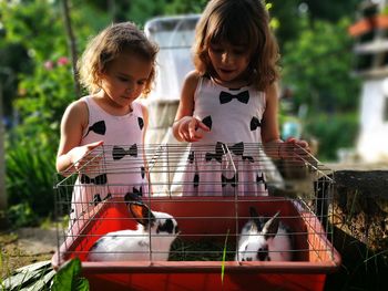 Sisters looking at rabbits in cage at backyard