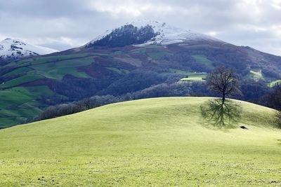 Scenic view of landscape and mountains against sky