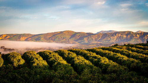 Scenic view of mountains against sky