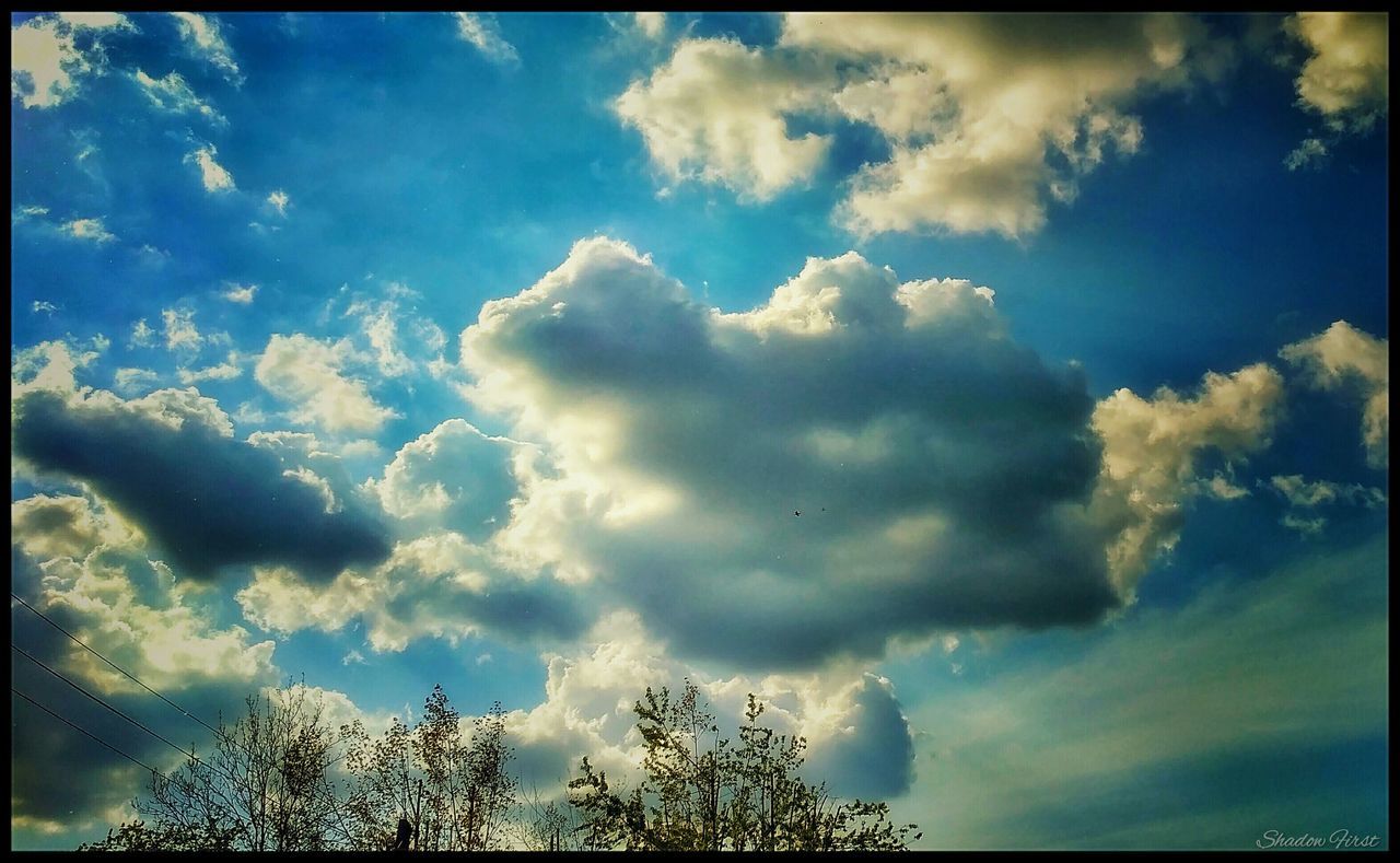 low angle view, sky, cloud - sky, cloudy, blue, cloud, transfer print, beauty in nature, nature, tranquility, tree, scenics, silhouette, auto post production filter, tranquil scene, cloudscape, outdoors, weather, high section, no people