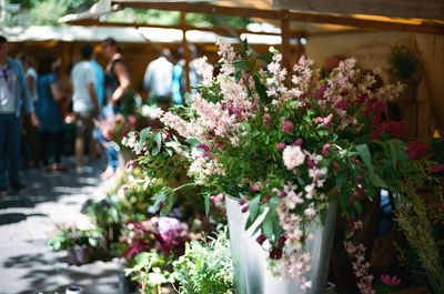 Close-up of flowers blooming outdoors