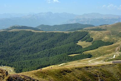 environment