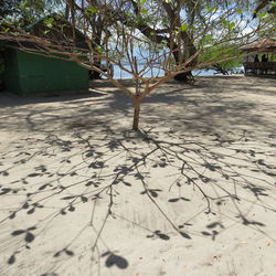 Built structure with trees in background