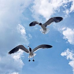 Low angle view of cloudy sky