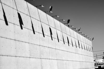 Low angle view of birds perching on building against sky
