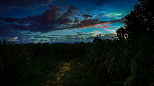 Scenic view of field against sky at sunset