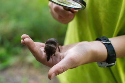 Midsection of boy holding magnifying glass over mouse